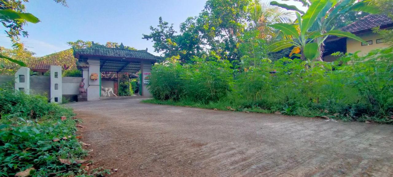 Tunjung Guest House Lovina Beach Pabean Buleleng Exteriör bild